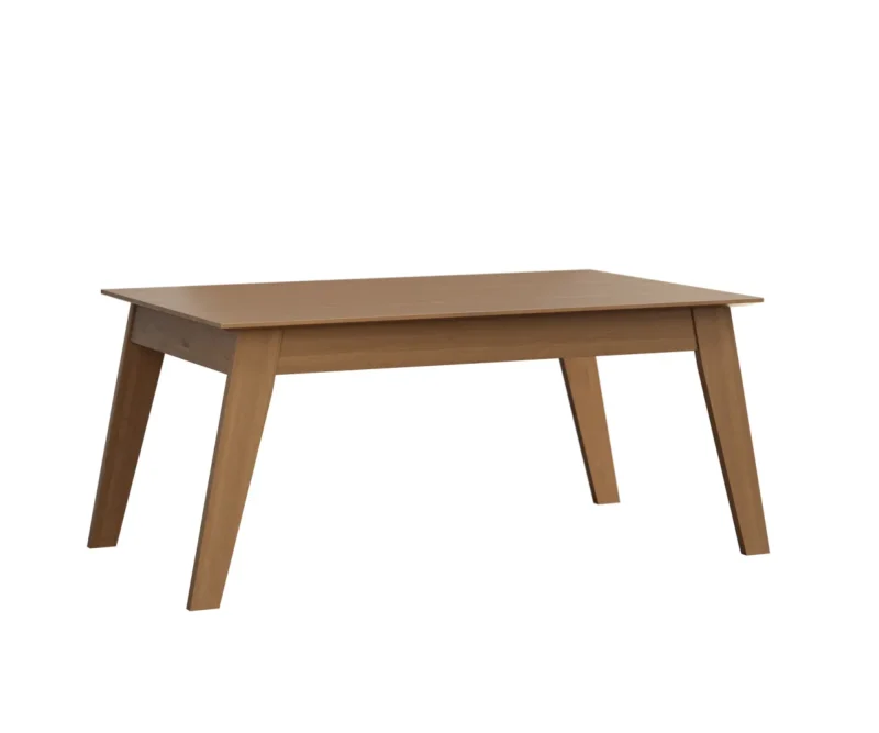 Astro Leg Table